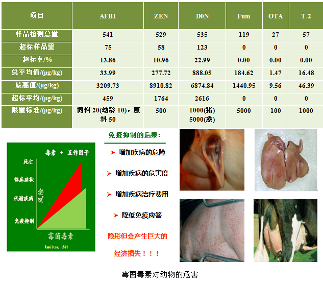 清霉寶A 1.jpg