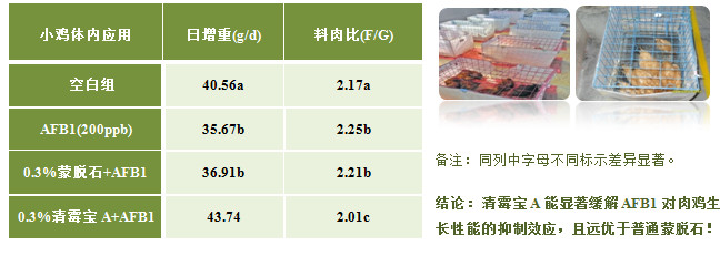 清霉寶A 3.jpg